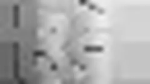 球速体育 产品 090302 pj3